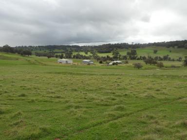 Farm For Sale - WA - Quindanning - 6391 - Kyellen Farm, Quindanning-Darkan Road - first time offered for sale  (Image 2)