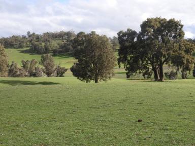 Farm For Sale - WA - Quindanning - 6391 - Kyellen Farm, Quindanning-Darkan Road - first time offered for sale  (Image 2)