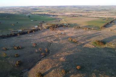 Farm Auction - NSW - Boorowa - 2586 - Lifestyle Block Close to Town!  (Image 2)