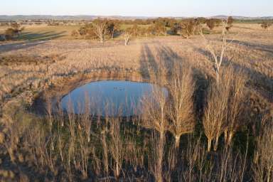 Farm Auction - NSW - Boorowa - 2586 - Lifestyle Block Close to Town!  (Image 2)