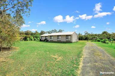 Farm For Sale - QLD - Redridge - 4660 - Acreage Living! Massive House! Huge Shed!  (Image 2)