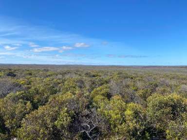 Farm Sold - SA - Stun'sail Boom - 5223 - 4 Large parcels of Land (27 Ha - 47 Ha). Kangaroo Island. To be auctioned under LGA Section 184.  (Image 2)