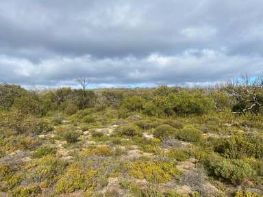 Farm Sold - SA - Stun'sail Boom - 5223 - 4 Large parcels of Land (27 Ha - 47 Ha). Kangaroo Island. To be auctioned under LGA Section 184.  (Image 2)