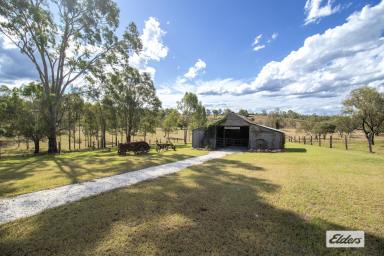 Farm For Sale - QLD - Blenheim - 4341 - "Horses, Cattle, or Lifestyle: The Choice Is Yours"  (Image 2)