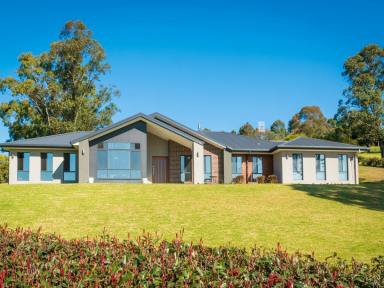 Farm For Sale - NSW - Bega - 2550 - IMMACULATE NORTH FACING FAMILY HOME  (Image 2)