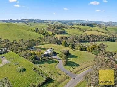 Farm For Sale - VIC - Foster - 3960 - Sun soaked tree change with views  (Image 2)