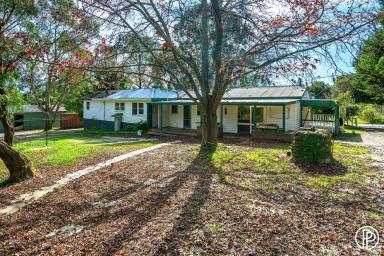 Farm For Sale - VIC - Woori Yallock - 3139 - FARMHOUSE RENOVATOR, on 18 ACRES OF BEAUTIFUL PASTURE  (Image 2)