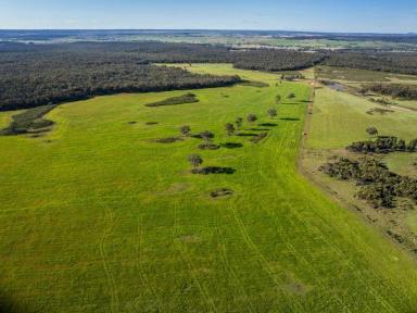 Farm Expressions of Interest - NSW - Neilrex - 2831 - Large-scale Coolah Grazing Enterprise  (Image 2)