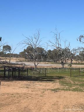 Farm For Sale - NSW - Bourke - 2840 - Maroona Station  (Image 2)