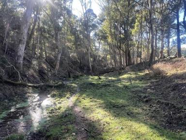 Farm For Sale - VIC - Mitta Mitta - 3701 - "BULLHEAD ROAD" IS YOUR PERFECT RECREATIONAL PROPERTY.   24.32*Ha / 60.11*Acres  (Image 2)