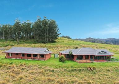 Farm For Sale - NSW - Kyogle - 2474 - PICTURESQUE PANORAMIC VIEWS  (Image 2)