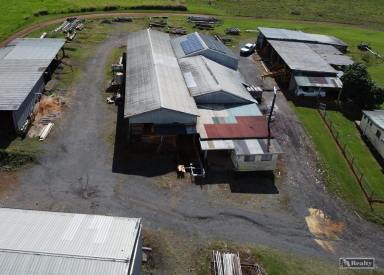 Farm For Sale - QLD - Eaton - 4860 - OPERATIONAL SAWMILL  (Image 2)