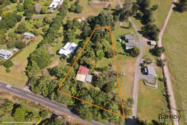 Farm For Sale - QLD - Palmwoods - 4555 - A Rare Piece of Palmwoods History  (Image 2)