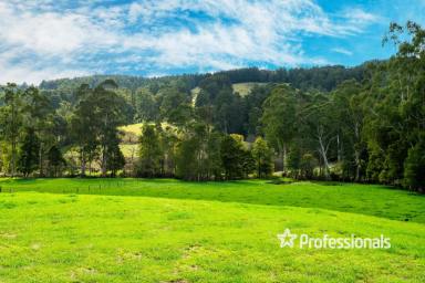 Farm For Sale - VIC - Gilderoy - 3797 - HOMESTEAD OF YESTER-YEAR  (Image 2)