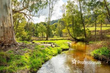 Farm For Sale - VIC - Gilderoy - 3797 - HOMESTEAD OF YESTER-YEAR  (Image 2)