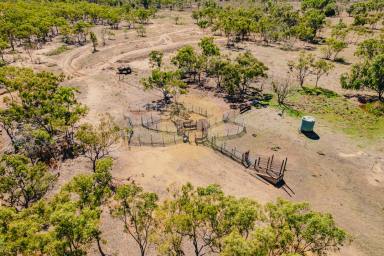 Farm For Sale - QLD - Southern Cross - 4820 - 745-acre Cattle Grazing Land  (Image 2)