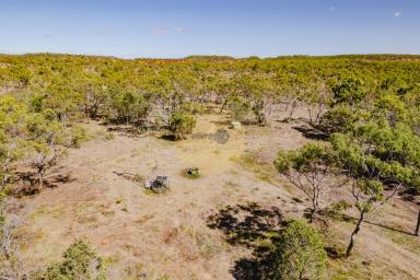 Farm For Sale - QLD - Southern Cross - 4820 - 745-acre Cattle Grazing Land  (Image 2)