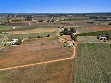 Farm Auction - VIC - Red Cliffs - 3496 - 20 Acres Vineyard (approx.)  (Image 2)