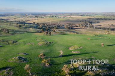 Farm For Sale - SA - Tungkillo - 5236 - Seize The Space - Marrett's Block  (Image 2)