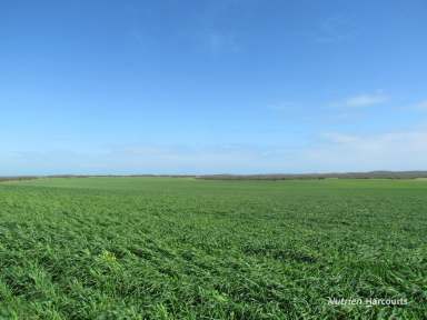 Farm For Sale - WA - Dongara - 6525 - "Gadara Farm"  (Image 2)