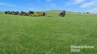 Farm For Sale - NSW - Koorawatha - 2807 - PREMIERE RURAL ACRES  (Image 2)