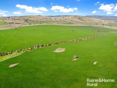 Farm For Sale - NSW - Koorawatha - 2807 - PREMIERE RURAL ACRES  (Image 2)