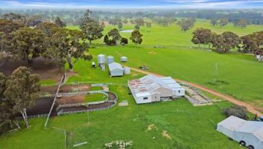 Farm For Sale - VIC - Vasey - 3407 - Prime Opportunity Offering Reliability and Versatility  (Image 2)