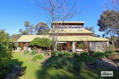 Farm For Sale - VIC - Shelbourne - 3515 - " MOSTON BANK"   UNIQUE MUDBRICK & STONE HOME ON 50 ACRES  (Image 2)