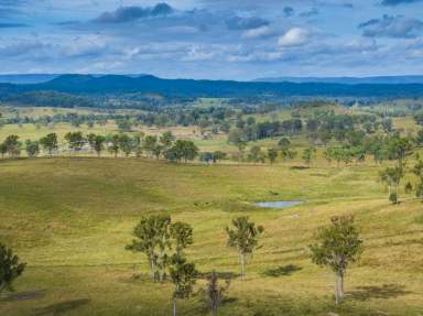 Farm Expressions of Interest - QLD - Takilberan - 4671 - 3,000* Hectare Beef Enterprise with Quality Infrastructure  (Image 2)