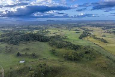 Farm Expressions of Interest - QLD - Takilberan - 4671 - 3,000* Hectare Beef Enterprise with Quality Infrastructure  (Image 2)