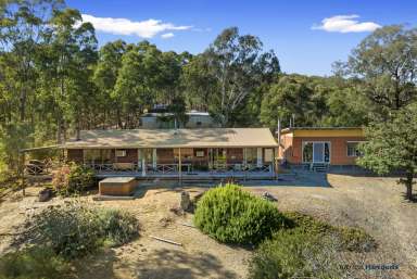 Farm For Sale - VIC - Acheron - 3714 - It's all about the tree change, the privacy, and the serenity.  (Image 2)