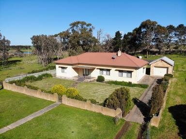 Farm For Sale - SA - Menzies - 5223 - Cygnetvale  (Image 2)