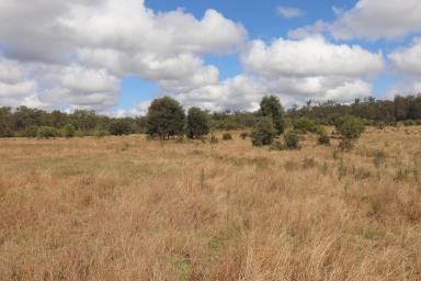 Farm For Sale - QLD - Mundubbera - 4626 - Run 300 Breeders Within 30 Mins Mundubbera  (Image 2)