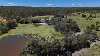 Farm For Sale - QLD - Mundubbera - 4626 - Run 300 Breeders Within 30 Mins Mundubbera  (Image 2)