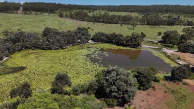 Farm For Sale - QLD - Mundubbera - 4626 - Run 300 Breeders Within 30 Mins Mundubbera  (Image 2)