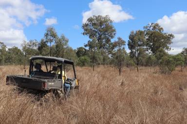 Farm For Sale - QLD - Mundubbera - 4626 - Run 300 Breeders Within 30 Mins Mundubbera  (Image 2)