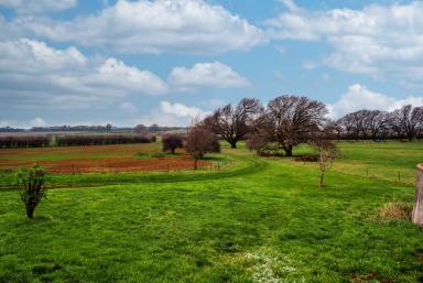 Farm For Sale - TAS - Bishopsbourne  - 7301 - "The College"- History & Prestige  (Image 2)