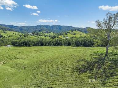 Farm For Sale - QLD - Laceys Creek - 4521 - Exceptional Acreage Land with Breathtaking Views  (Image 2)