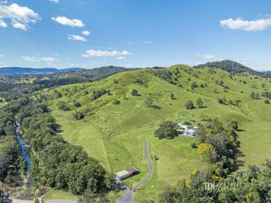 Farm For Sale - QLD - Laceys Creek - 4521 - Exceptional Acreage Land with Breathtaking Views  (Image 2)