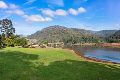 Farm For Sale - NSW - St Albans - 2775 - Exceptional Conference and Retreat Centre - Prime Commercial Real Estate  (Image 2)