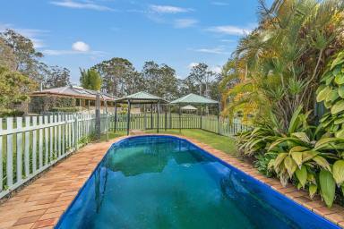 Farm Auction - NSW - South Kempsey - 2440 - "Bunyarra"-Income Earning Oasis on 23 Acres Just 10 Minutes to Surf  (Image 2)