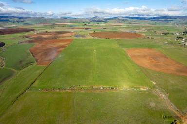 Farm For Sale - TAS - Tunbridge - 7120 - Township Property on Rich Red Soils  (Image 2)