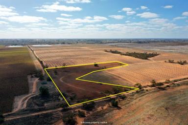 Farm For Sale - VIC - Red Cliffs - 3496 - NO NEIGHBOURS - NO WORRIES  (Image 2)