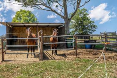 Farm For Sale - NSW - Louth Park - 2320 - Embrace Country Living At Its Finest!  (Image 2)