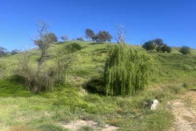 Farm For Sale - VIC - Bethanga - 3691 - Elevated Block With Planning Permit  (Image 2)