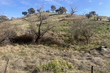 Farm For Sale - VIC - Bethanga - 3691 - Elevated Block With Planning Permit  (Image 2)