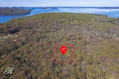 Farm Sold - NSW - North Arm Cove - 2324 - Recreational Land in The Cove!  (Image 2)