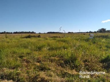 Farm For Sale - NSW - Coraki - 2471 - Fantastic Opportunity on the Outskirts of Coraki!  (Image 2)