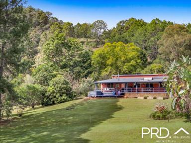 Farm For Sale - NSW - Larnook - 2480 - Serenity, Space & Stunning Style  (Image 2)