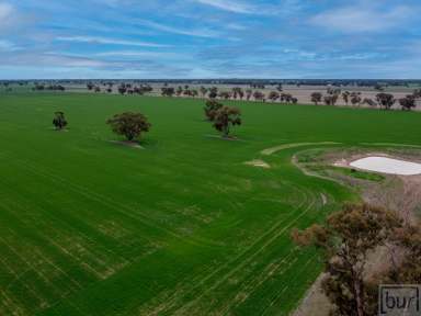 Farm For Sale - NSW - Rand - 2642 - “Quality Mixed farming country in popular Farming district”  (Image 2)